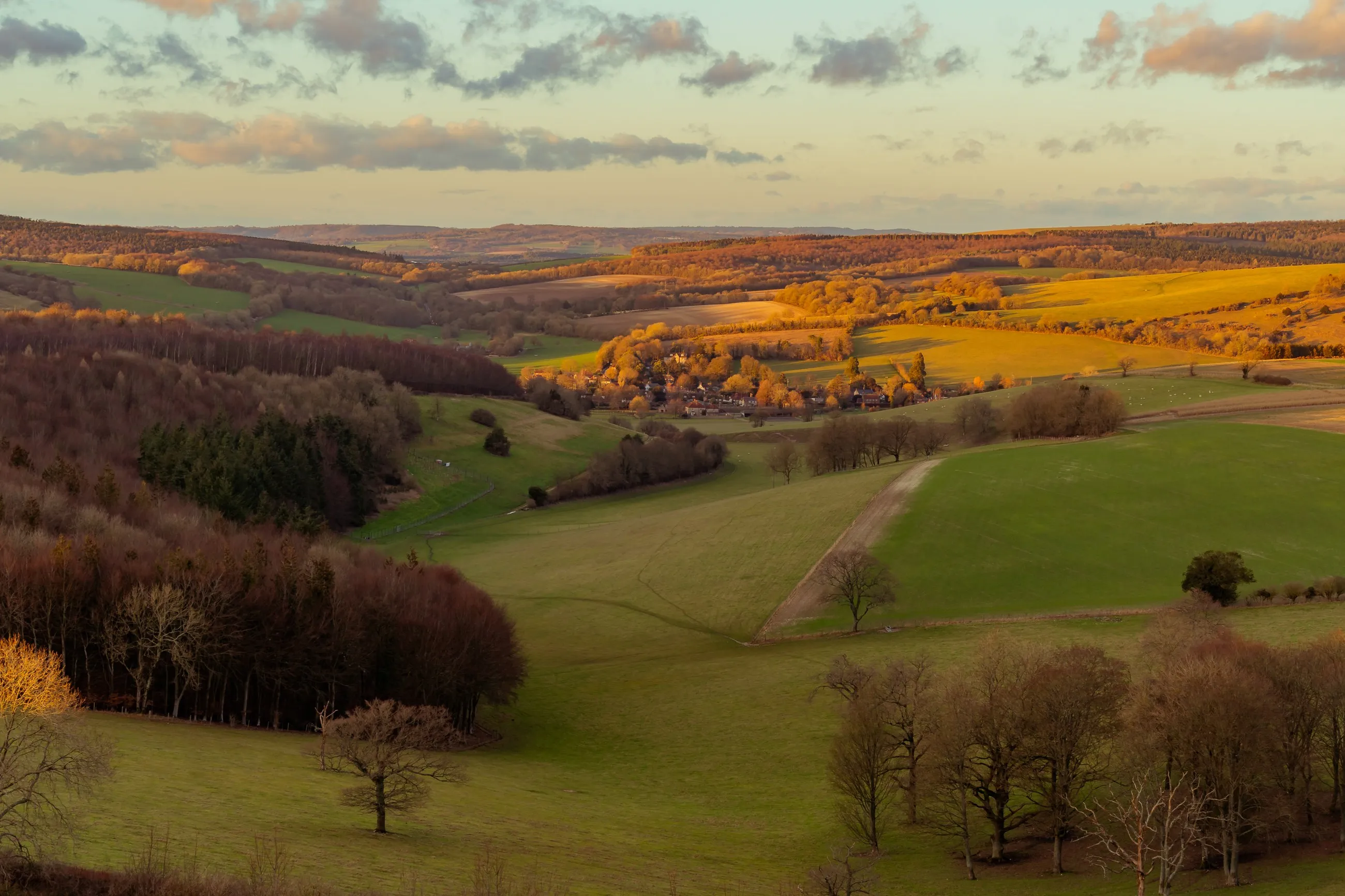 A downland vale in low winter sunlight: hedged pasture, blocks of woodland, and a village along the valley floor.